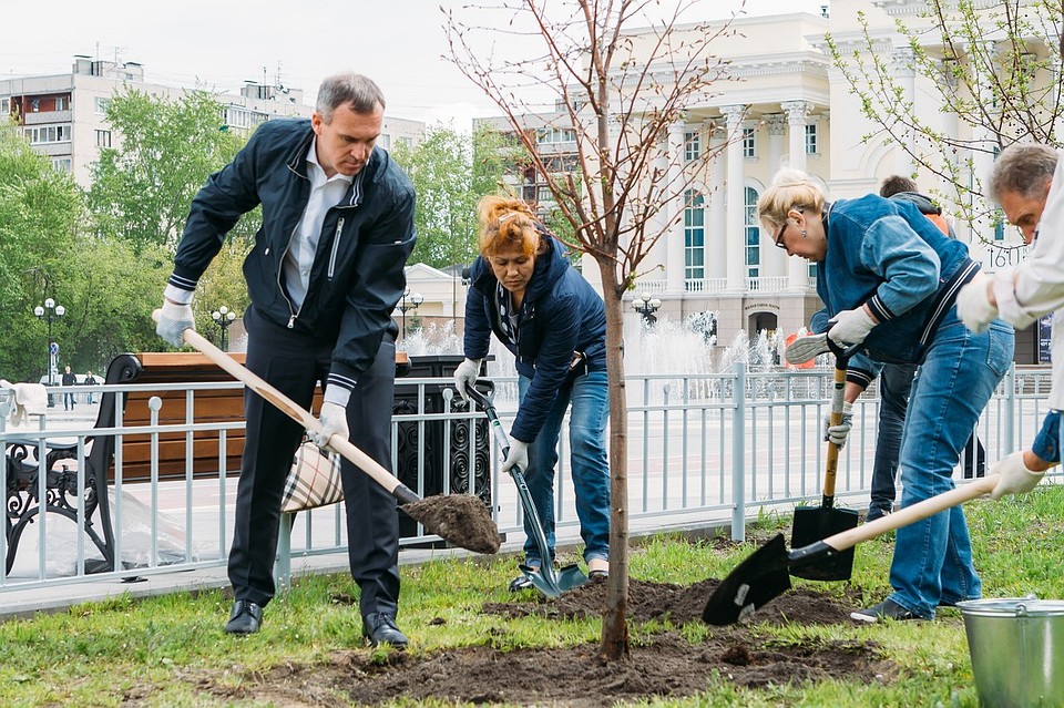 На площади 400-летия Тюмени стало на 21 дерево больше. Фото tyumen-city.ru