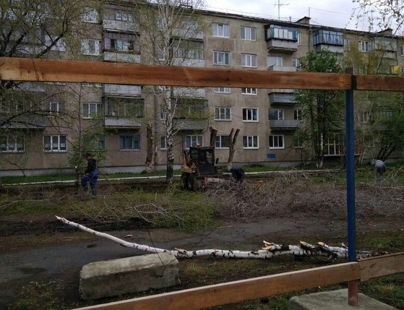 Торговые павильоны появятся вместо деревьев в Кургане. Фото: группа "О, Курган!" vc.com