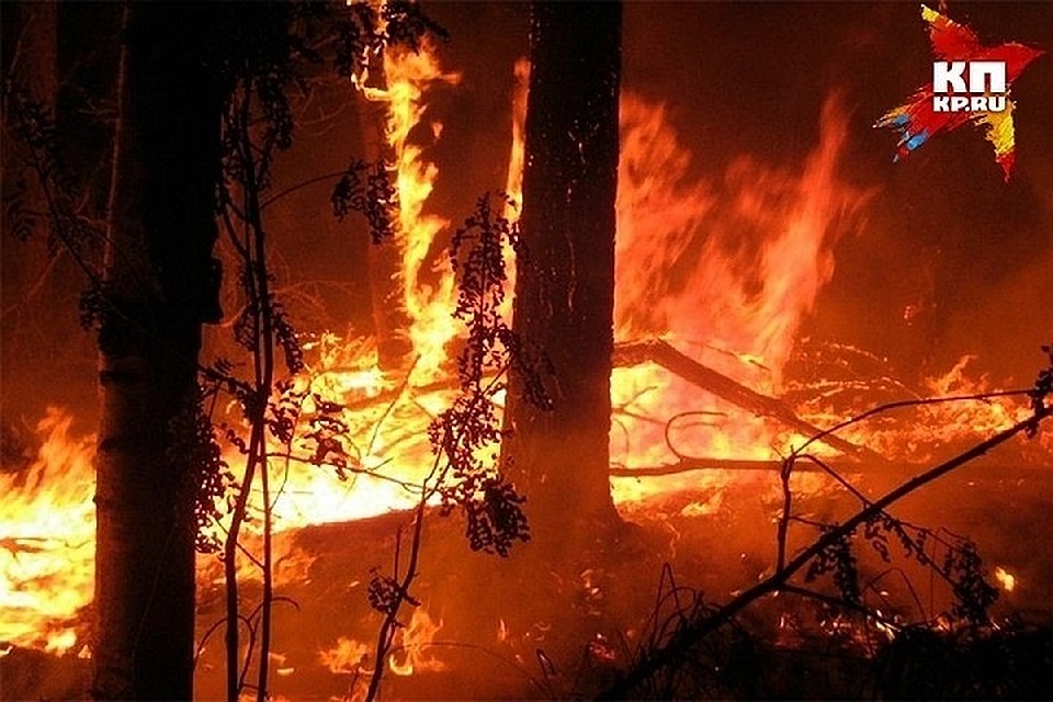 Пожары угрожают лесам и сельхозугодиям