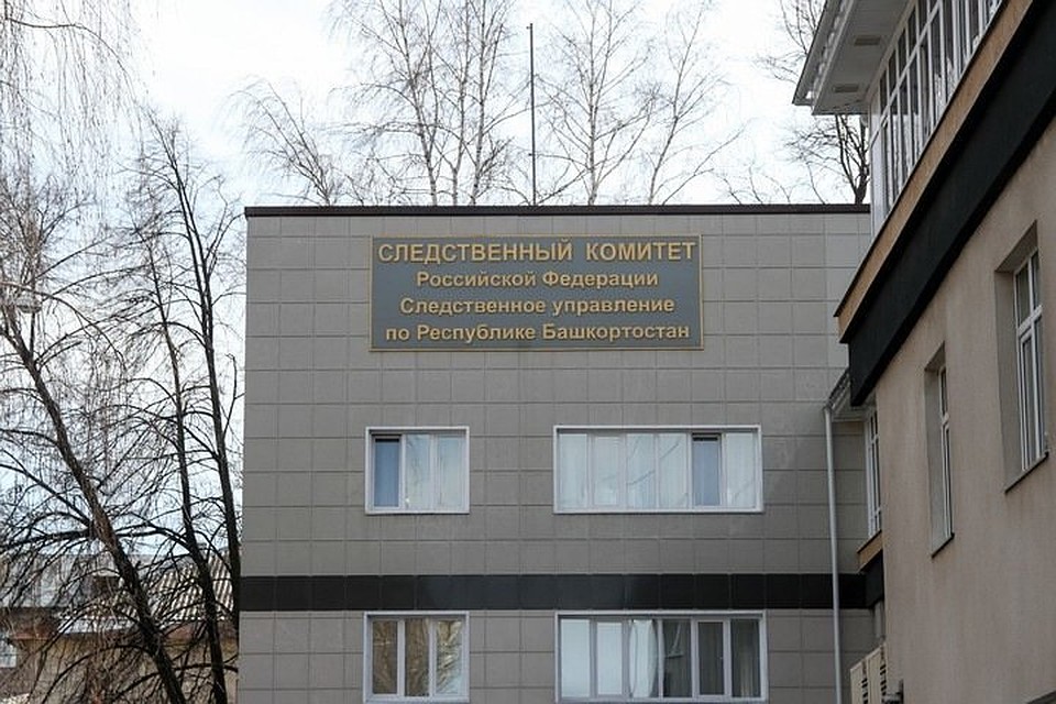 Теперь главе семьи грозит срок
