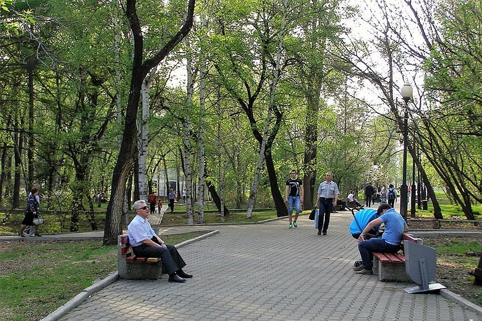 Погода в Хабаровске на 9 июня 2018: днем +19 градусов, без осадков