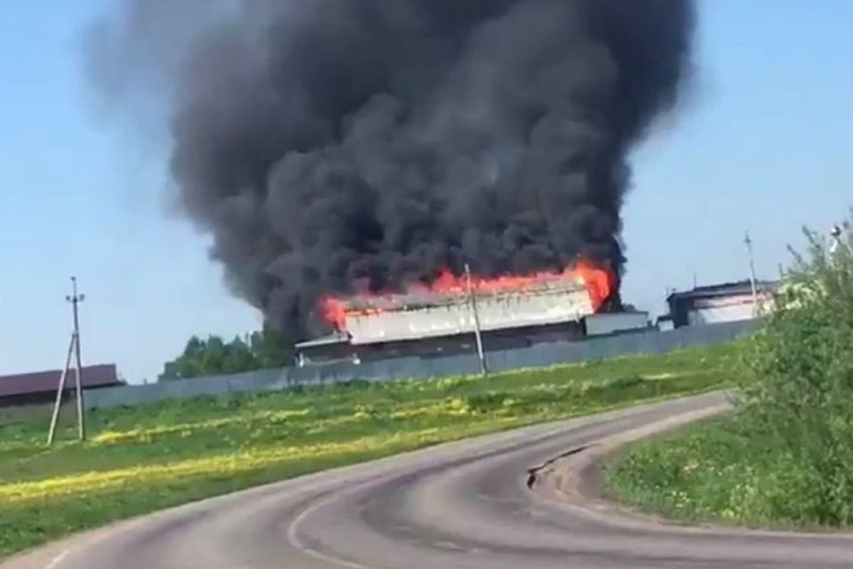 Фото: кадр видео ok.ru, "Новости Новокузнецка"