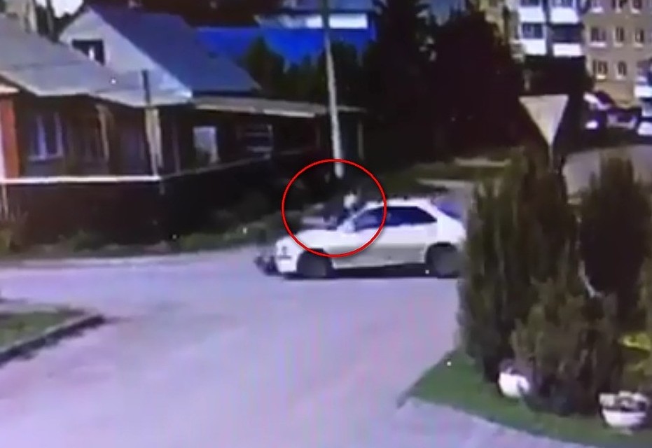Фото: скриншот видео