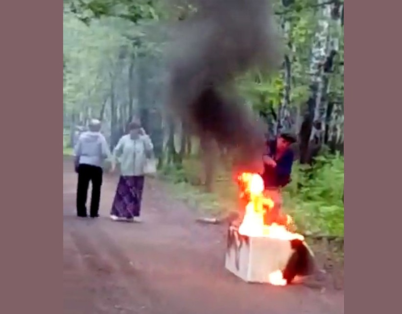Фото: кадр из видео Дарьи Мокшиной
