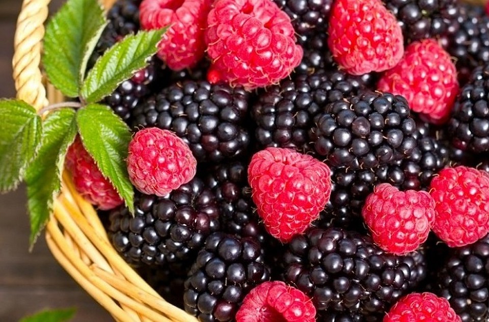 На ярмарку фермеры привезут ягоды, выращенные в Молдове. Фото: greenmarket.com.ua