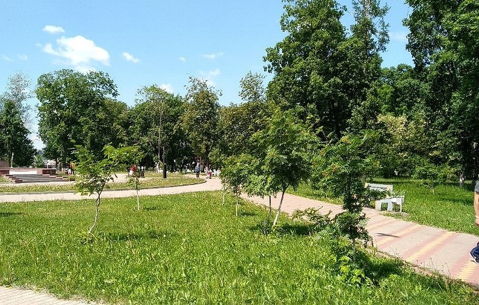 Клещи подстерегают курян в парках, лесах и на дачах