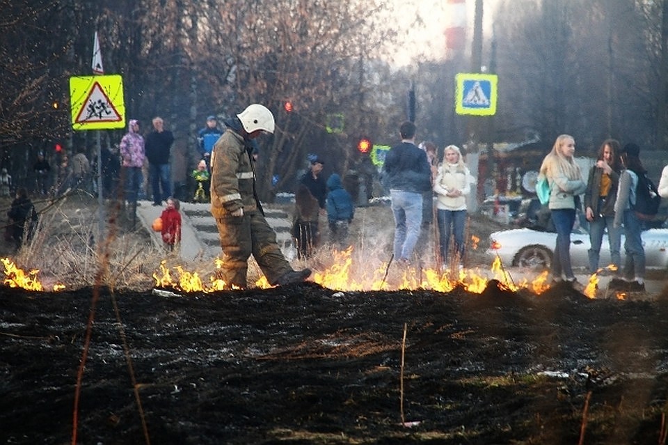 Фото: Роман ИГНАТЬЕВ