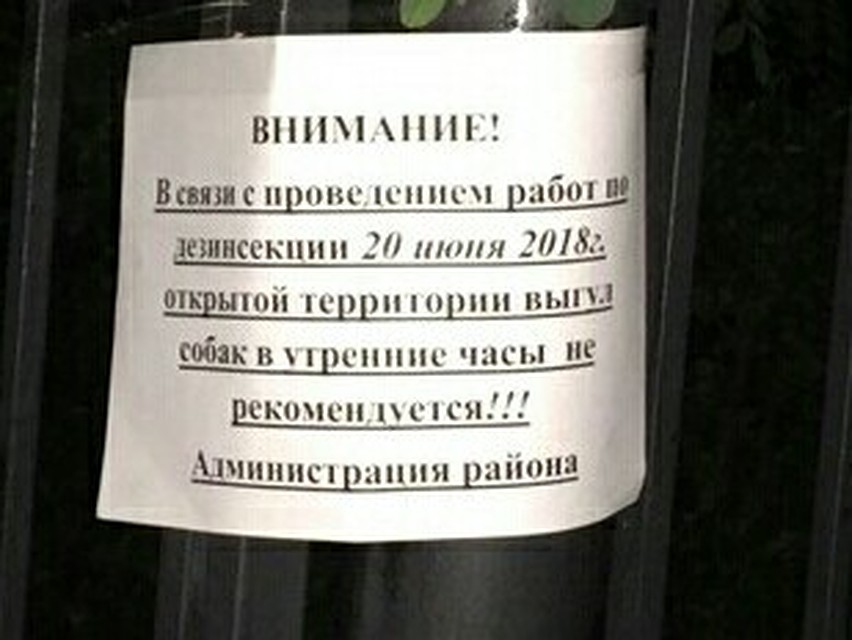 Забота о собаках