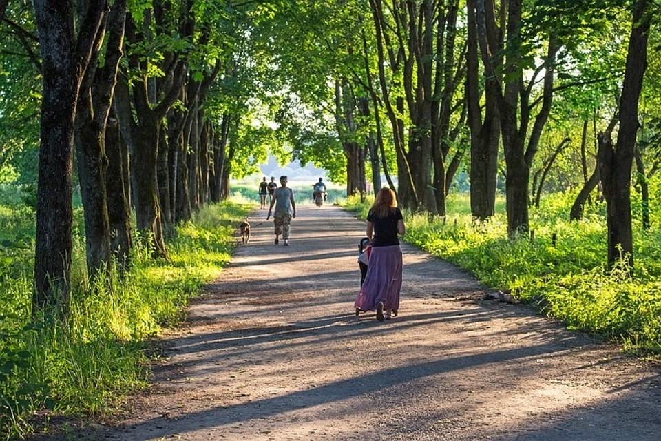 Фото с сайта пиксабай