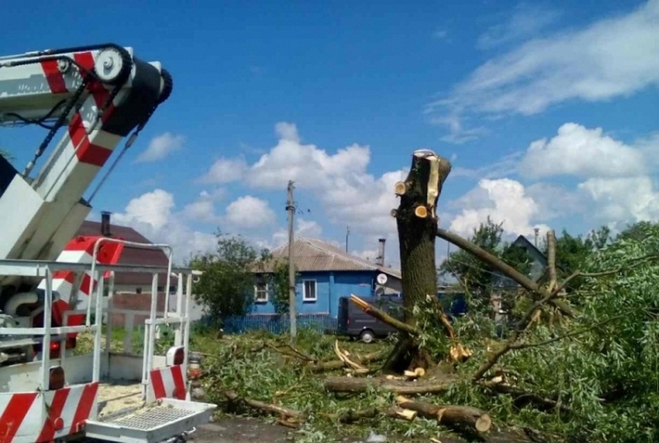 Ураган повалил 83 дерева