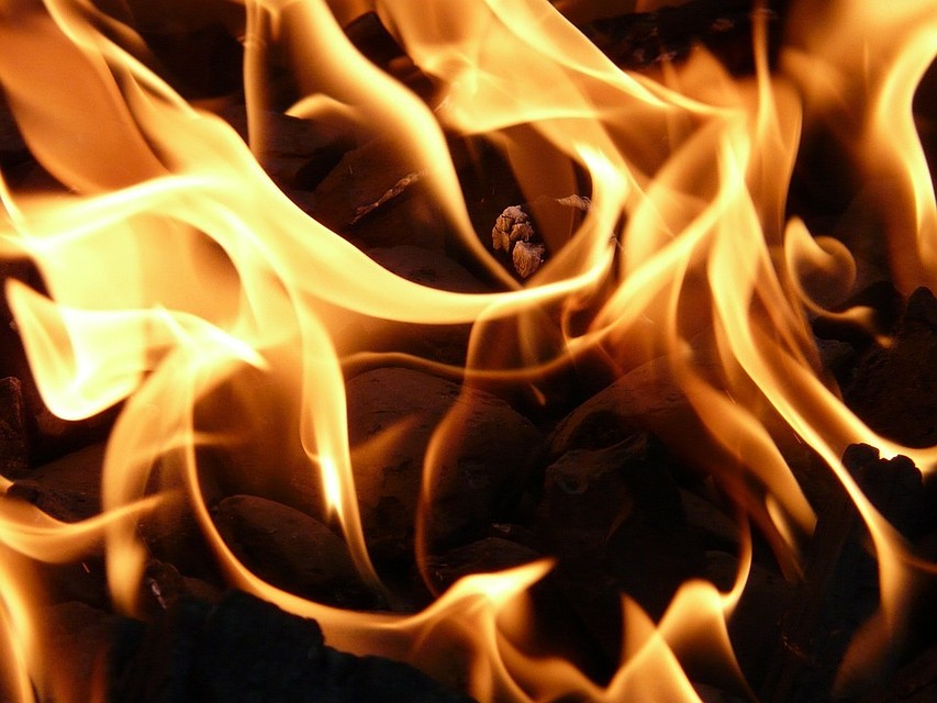 ФОТО: pixabay.com