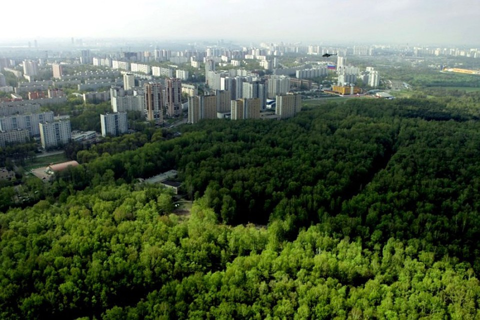 Фото: newtambov.ru