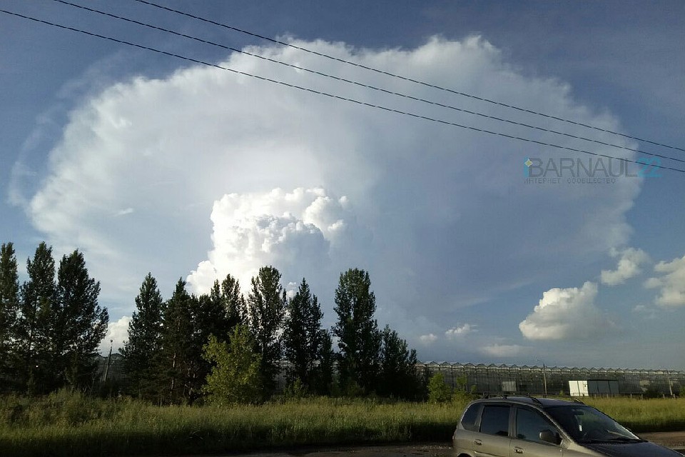Фото: Илья Романенко.