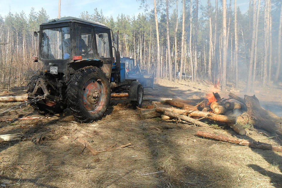 фото с сайта управления лесного хозяйства Воронежской области