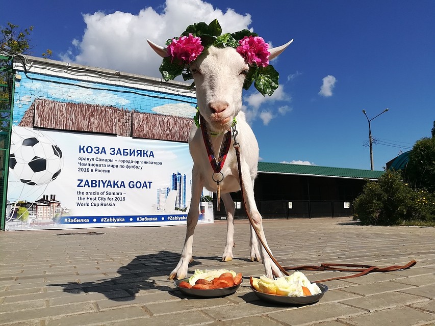 Верить ли козе?