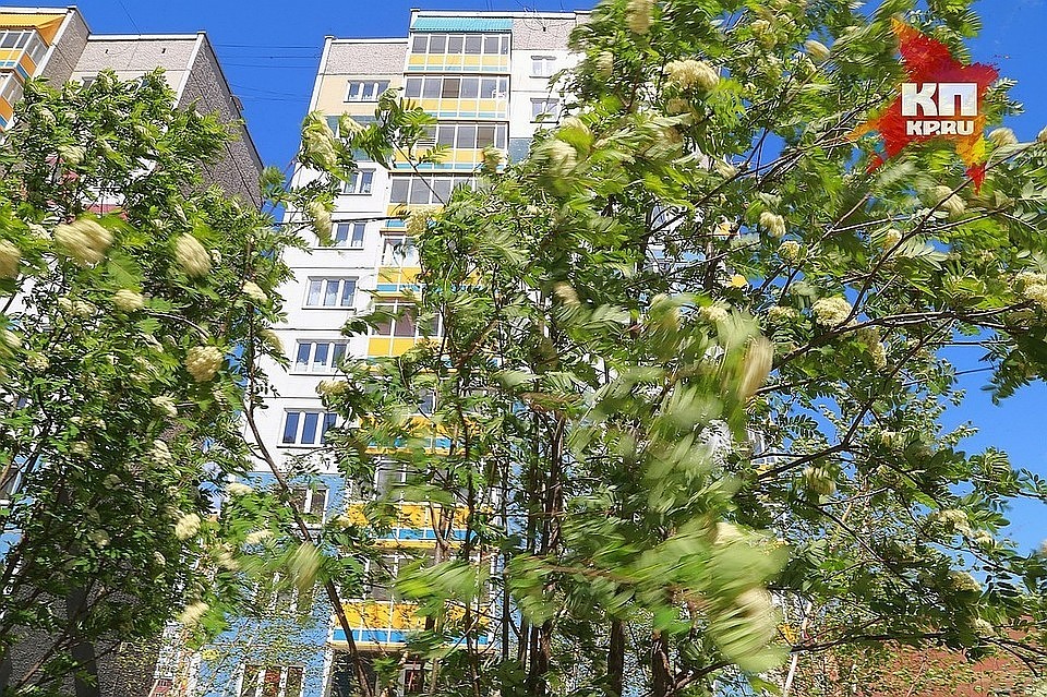 Все работы должны быть окончены к 30 октября