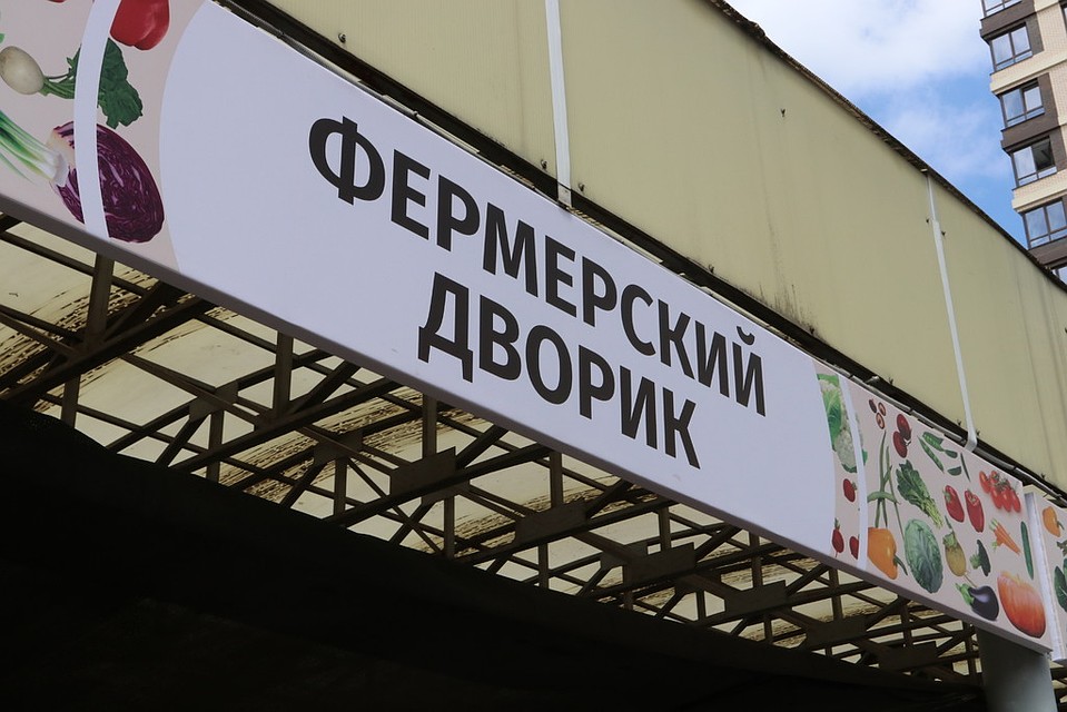 Фото: администрация Краснодара
