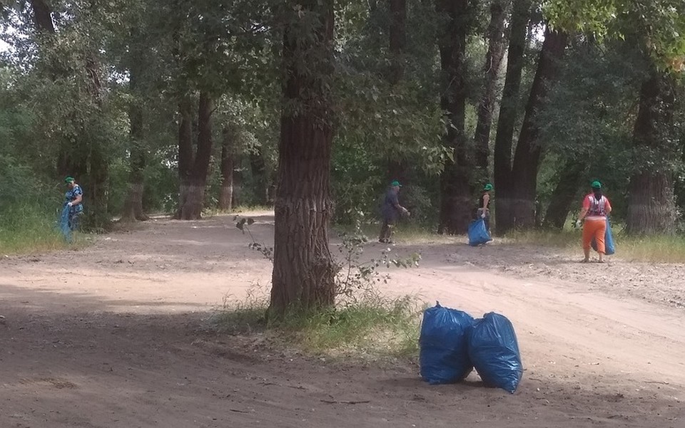 С берега Волги вывезли 100 мешков мусора. Фото: комитета природных ресурсов, лесного хозяйства и экологии Волгоградской области