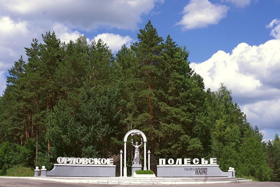 Фото: Orlpolesie.ru