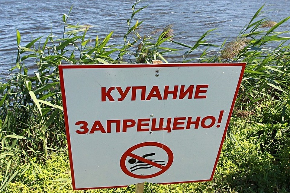 Фото: Соцсети