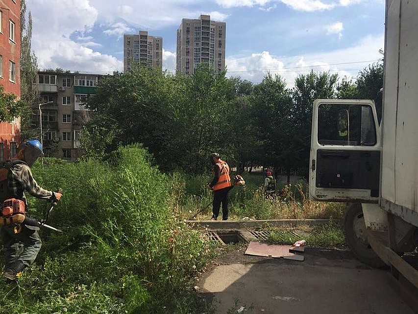 В числе лидеров — заведующие детсадов и директора школ. Фото: Администрация Ростова-на-Дону.