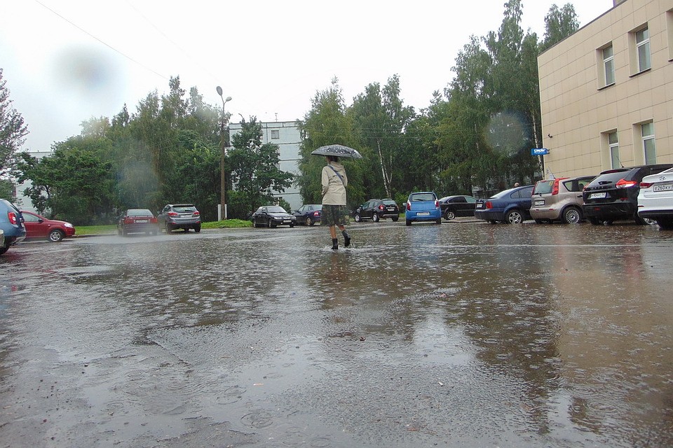 Фото: Елена Арсеньева.