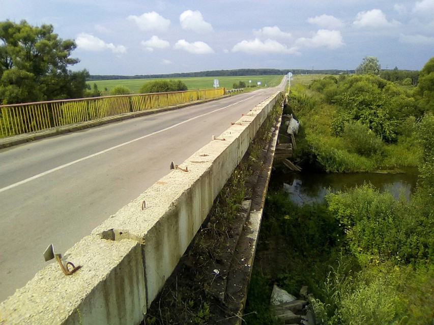 Фото с сайта ОНФ по Орловской области