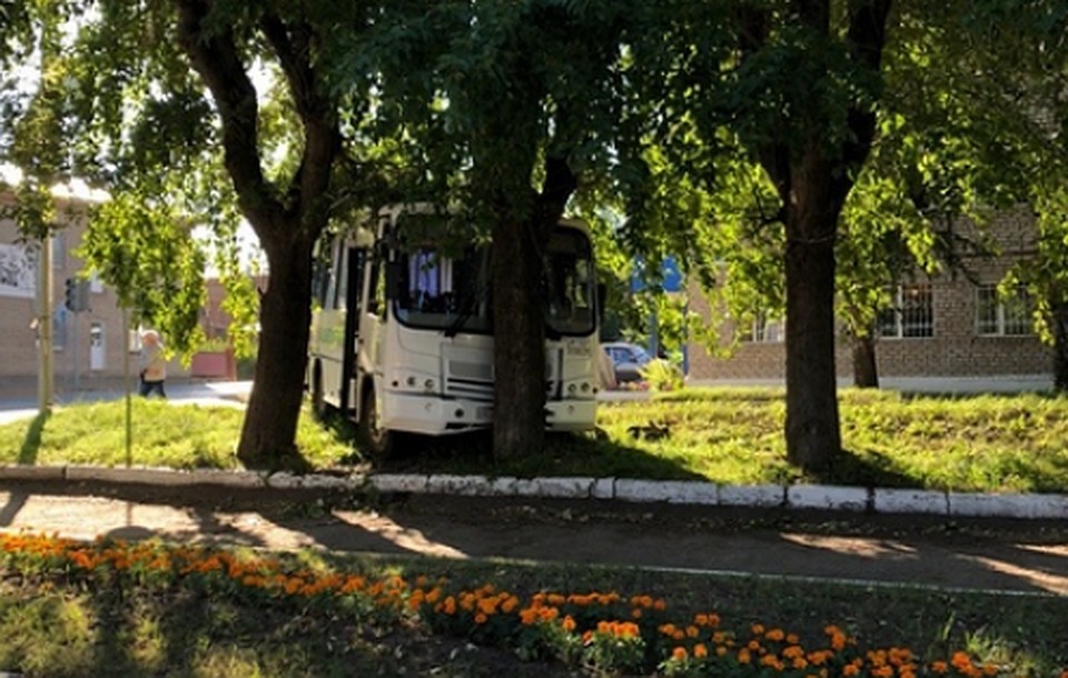 фото: соцсети