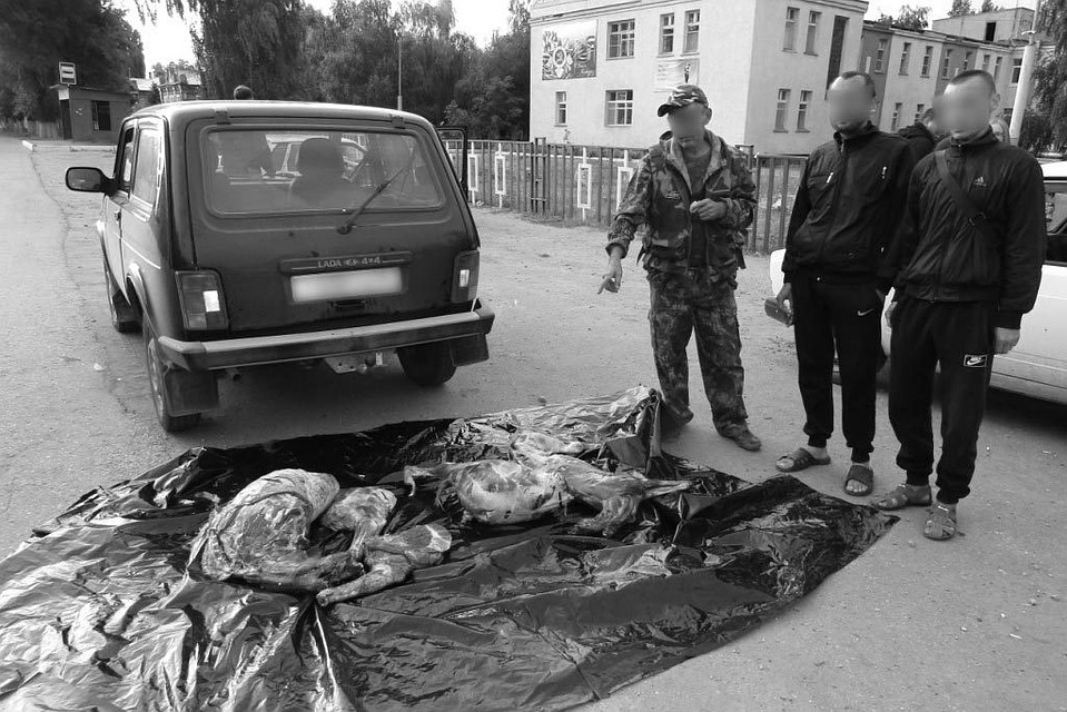 В Марксе полицейские поймали двух браконьеров с мясом оленя и косули