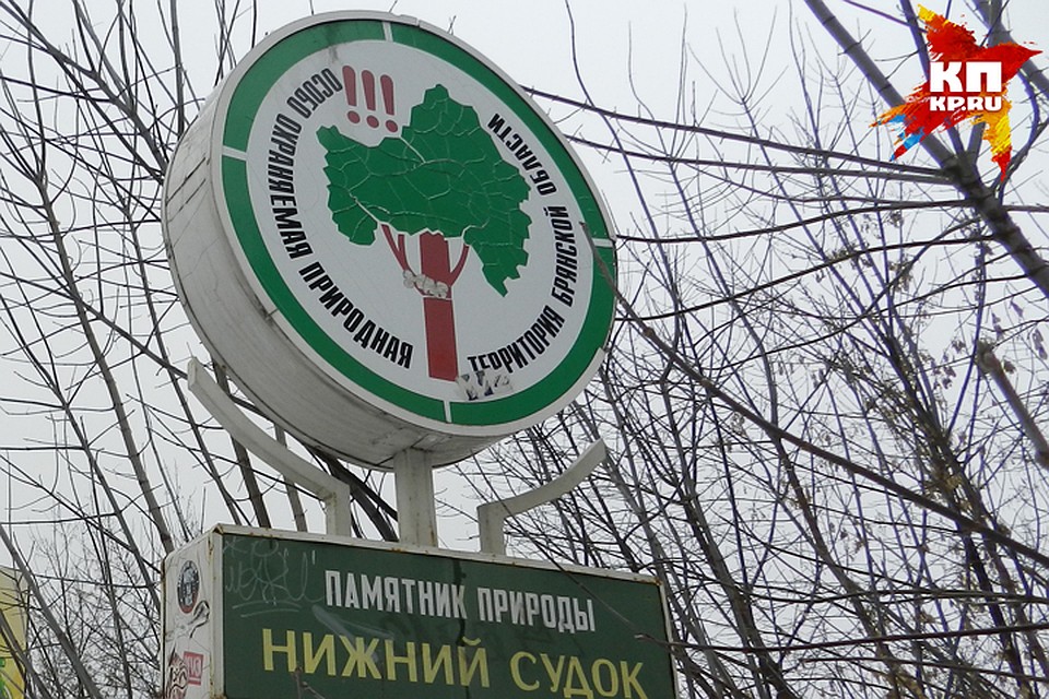 Горожане готовы поучаствовать в софинансировании благоустройства.