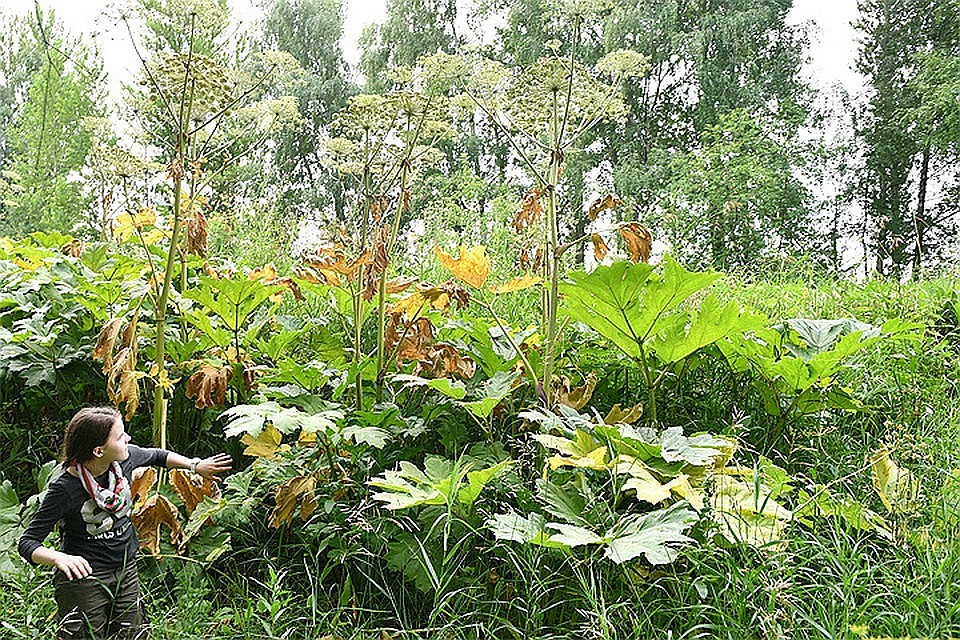 Фото: Михаил ФРОЛОВ.