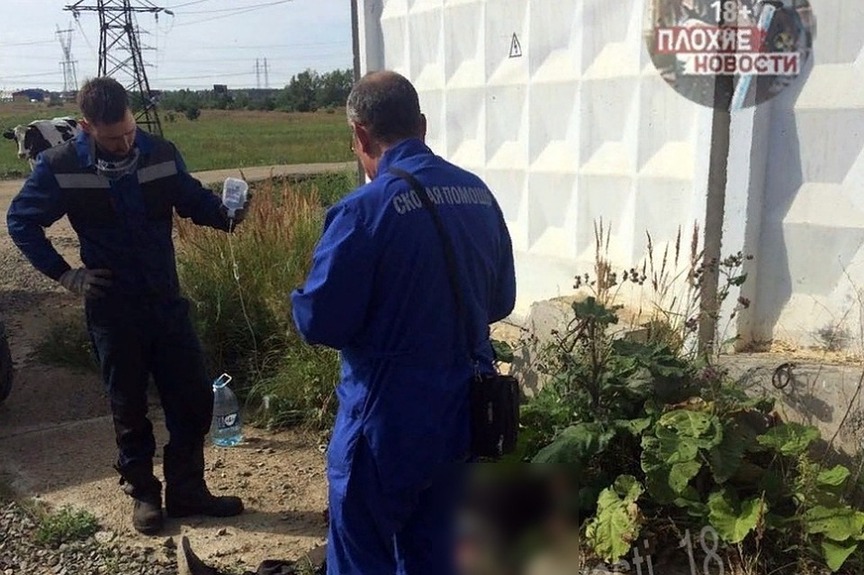 Животное неслось несколько сотен метров, волоча за собой пастуха. Фото: группа во ВКонтакте «Плохие новости».