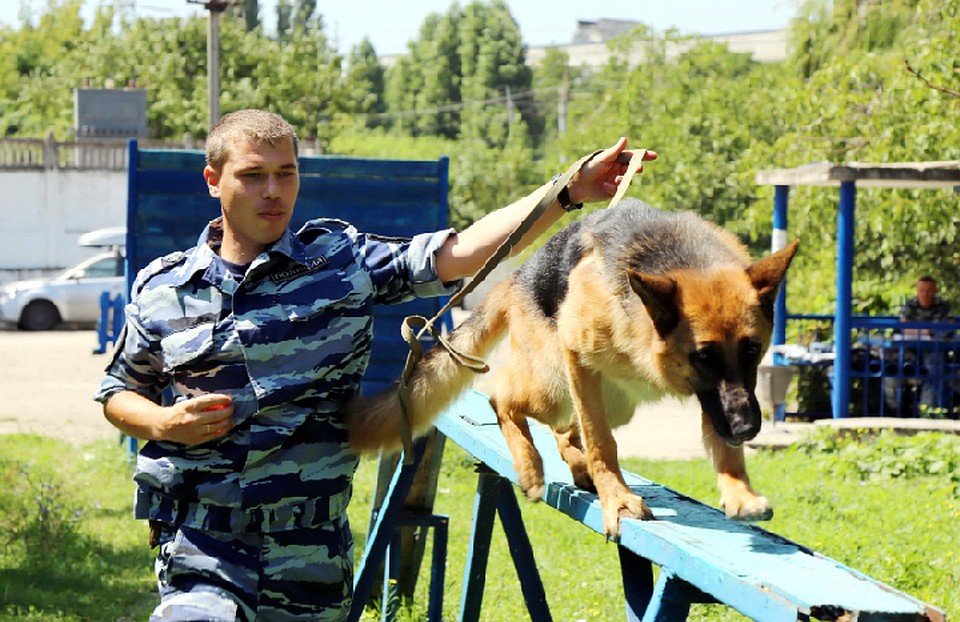 Владимир и Юта вместе ловят преступников и ищут пропавших людей. Фото: пресс-служба МВД по РК