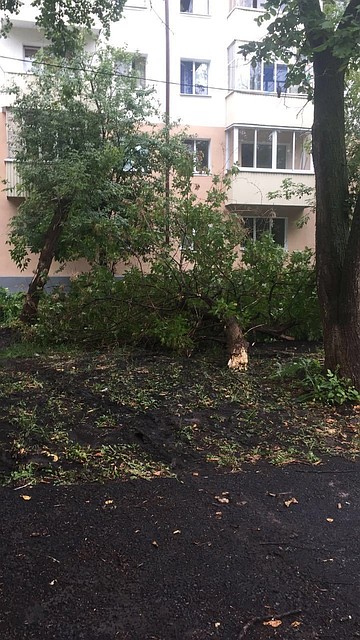 Фото: городская администрация