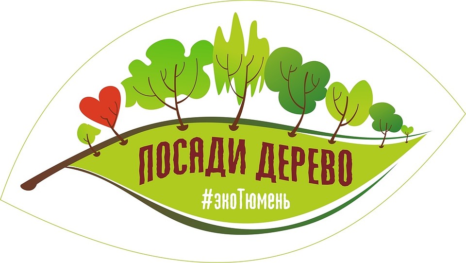 Садить деревья в Тюмени теперь будут и по заявкам горожан