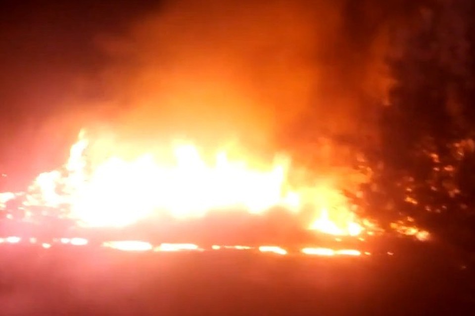 Фото: скриншот видео