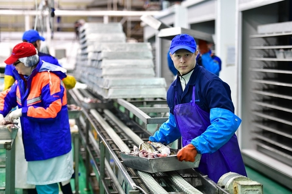 В Хабаровском крае будут разводить угрей