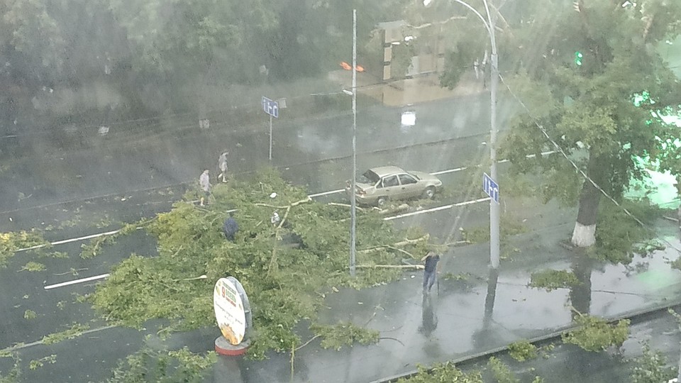 Во время ливня молодого человека в Тюмени придавило деревом. Фото vk.com
