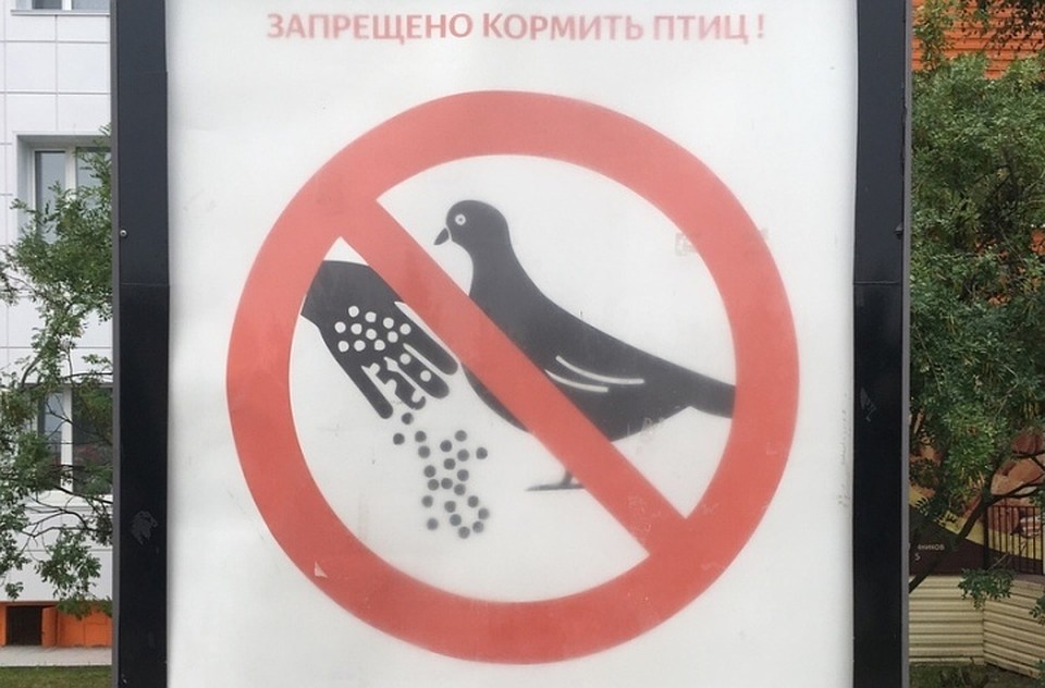 Фото с сайта администрации города Нягань
