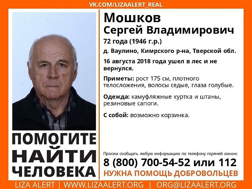 Мужчина ушел в лес и пропал Фото: "Лиза Алерт"