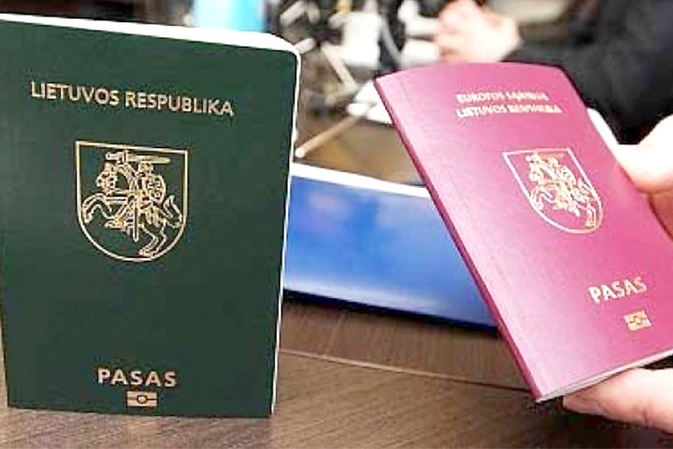 Референдум о двойном гражданстве в Литве может обойтись примерно в 2 млн. евро. Фото: с сайтаeadaily.com