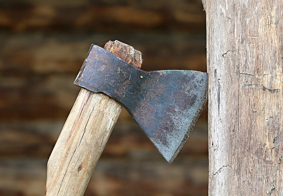 ФОТО: pixabay.com