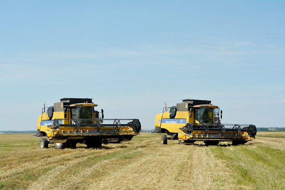 Фото: r31.tmbreg.ru.