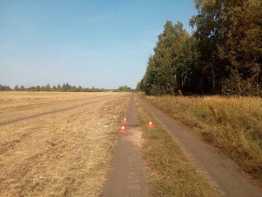 Фото: пресс-служба УГИБДД по Тамбовской области