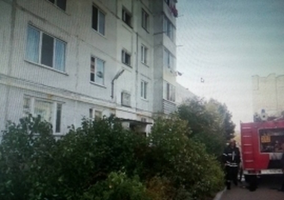 Фото: пресс-служба ГУ МЧС России по Брянской области.