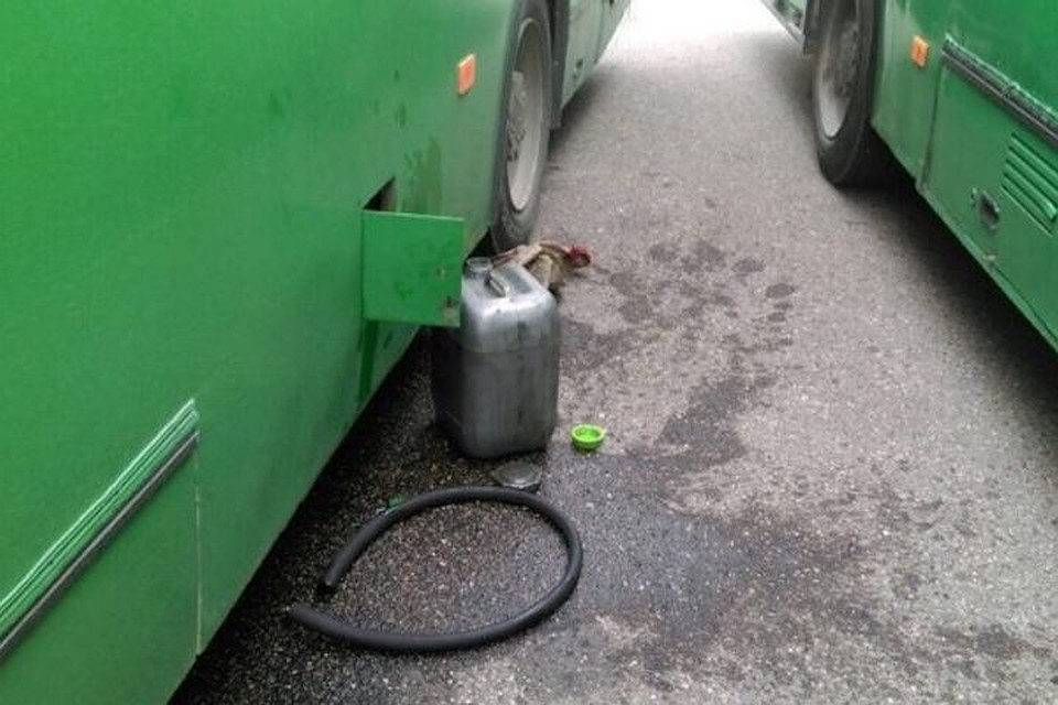 В Гродно на автовокзале водители посреди дня сливали топливо из автобусов. Фото с сайта УВД Гродненского облисполкома