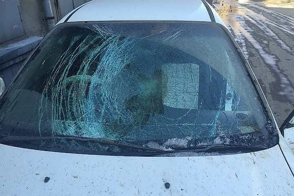 В Комсомольске-на-Амуре сестра засудила брата