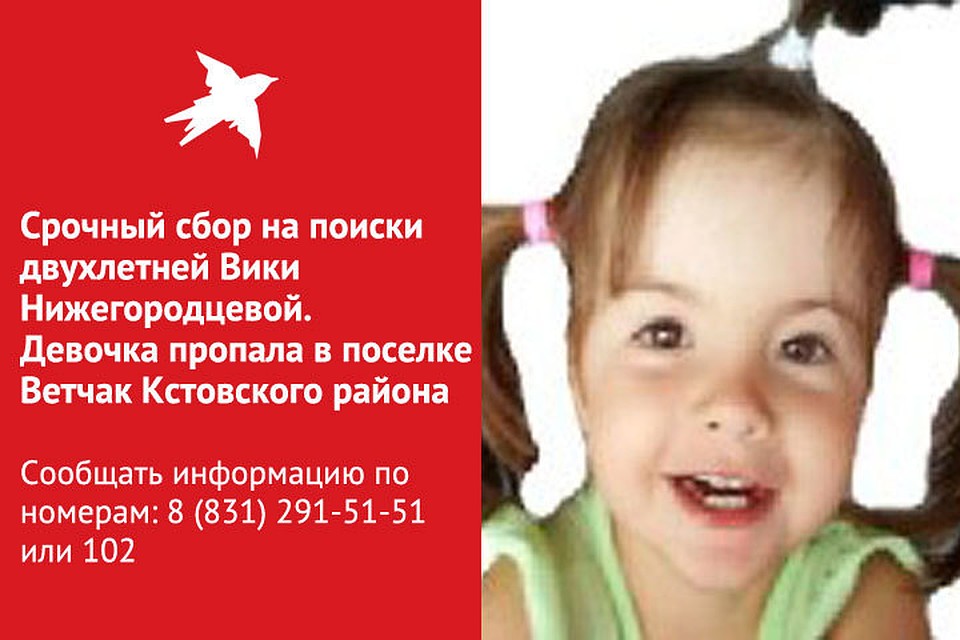 Двухлетняя Вика гуляла с мамой и исчезла в густой траве