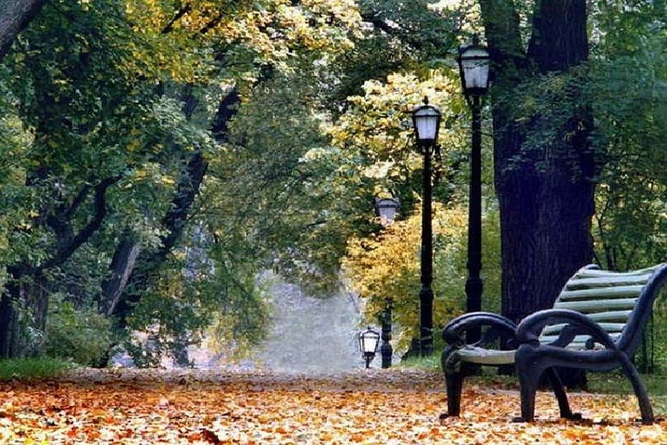 Будет солнечно, но ветрено. Фото: ecology.md