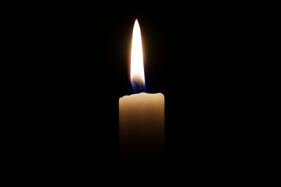 ФОТО: pixabay.com
